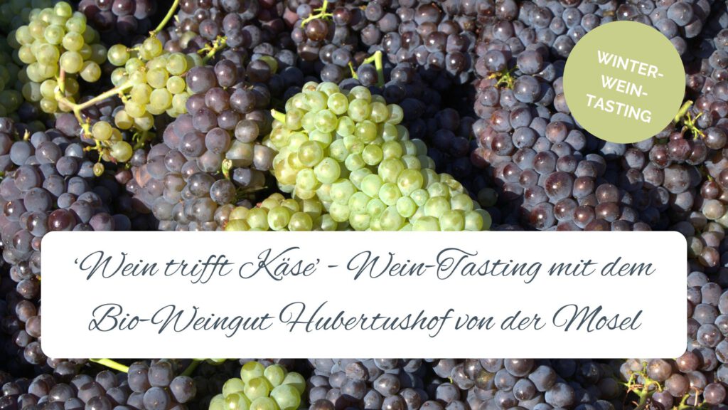 Bio-Weine vom Weingut Hubertushof und feine Käseauswahl beim Wein-Tasting im Burgcafé Langenfeld