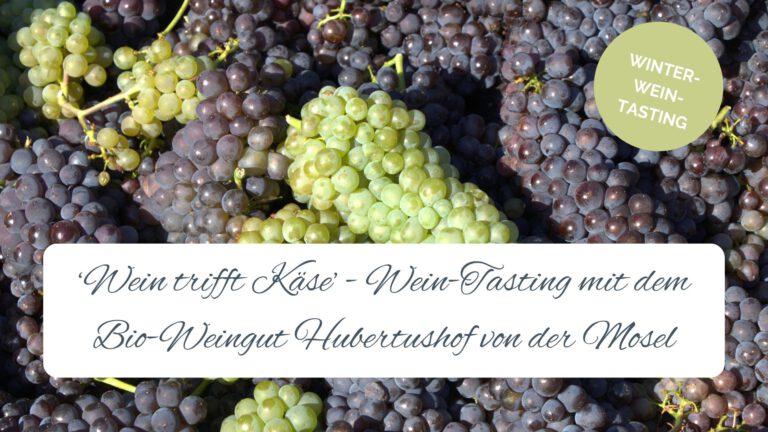 Bio-Weine vom Weingut Hubertushof und feine Käseauswahl beim Wein-Tasting im Burgcafé Langenfeld